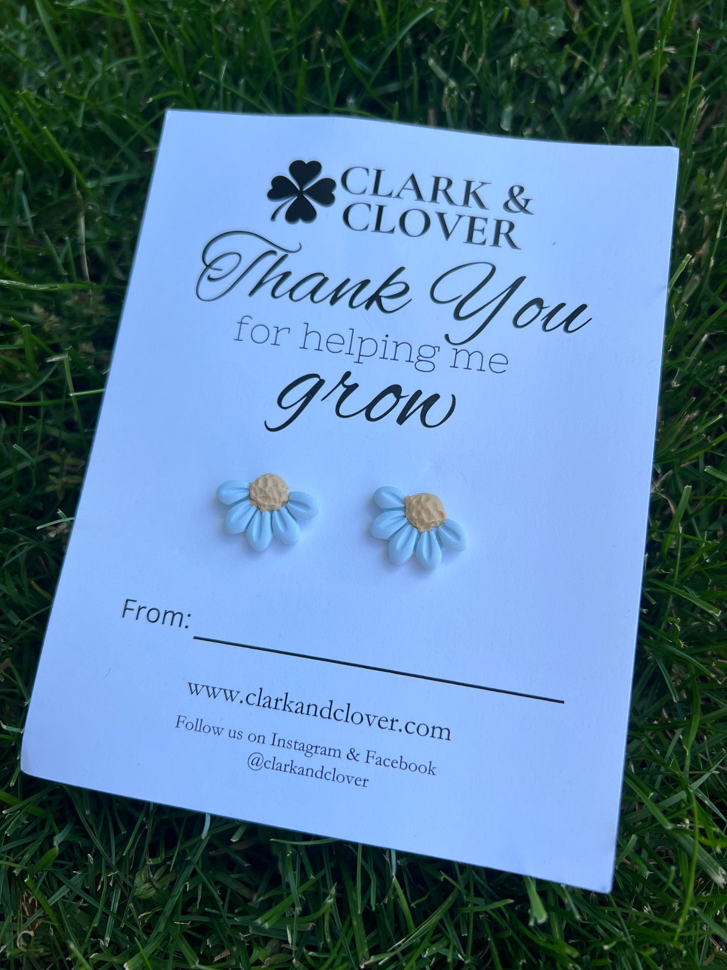 The “Daisy” Studs